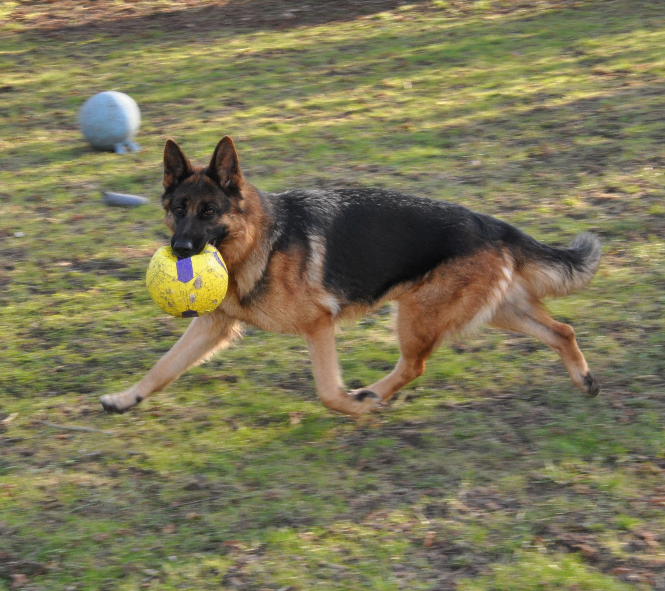 DSC_0058 (2)